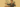 NewsLetter Graphics (6)